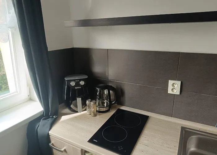 Lägenhet Garsoniera Za Bezrucem *
